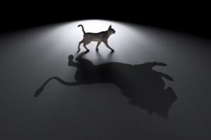 content strategy from kusadama enterprises