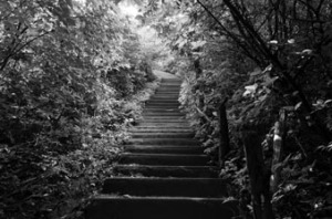 Digital training services from kusadama enterprises