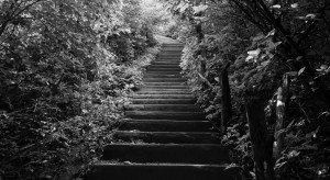 digital training corporate training kusadama enterprises