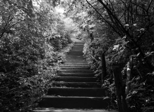 Our Digital Training helps your company reach new heights with the latest digital trends & insights