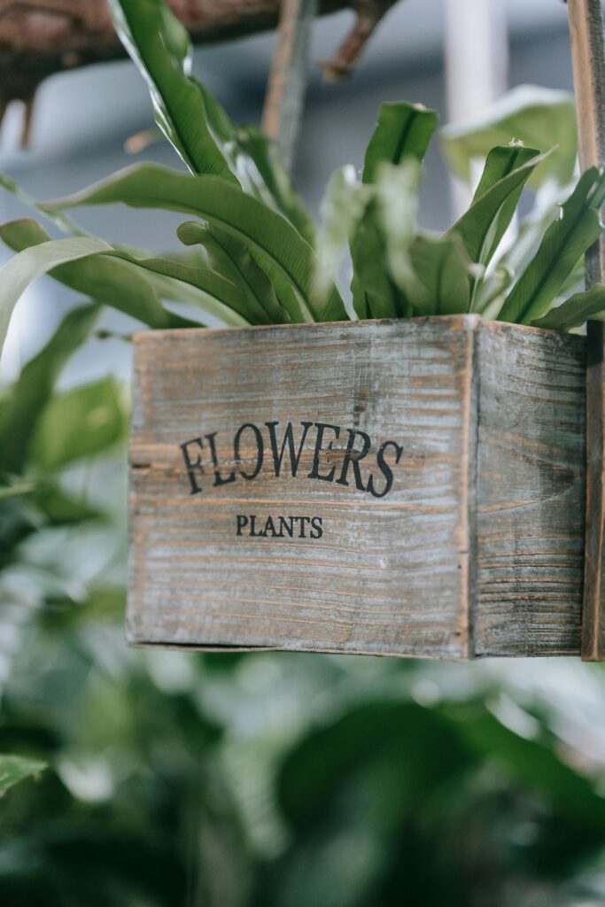 A rustic wooden box labeled 'Flowers' containing lush green plants indoors.